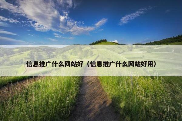 信息推广什么网站好（信息推广什么网站好用）