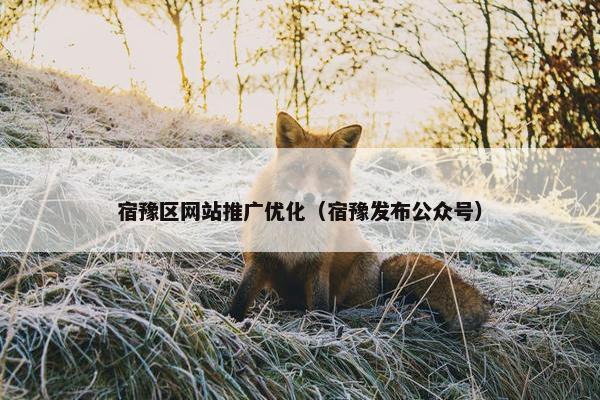 宿豫区网站推广优化（宿豫发布公众号）
