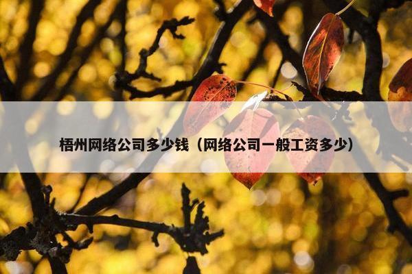 梧州网络公司多少钱（网络公司一般工资多少）