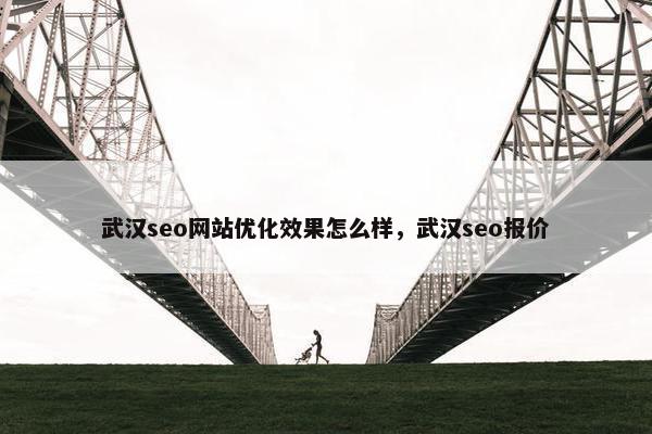 武汉seo网站优化效果怎么样，武汉seo报价