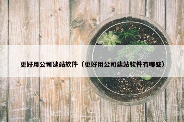 更好用公司建站软件（更好用公司建站软件有哪些）