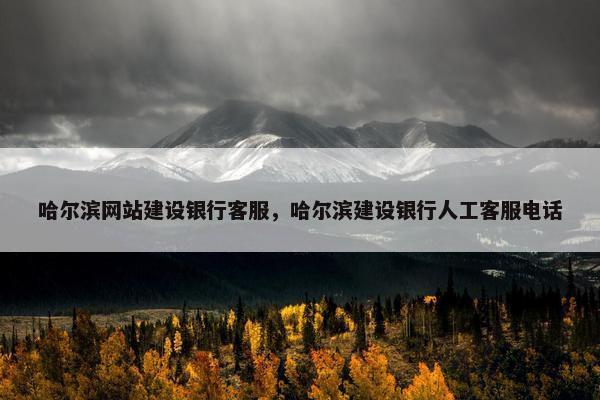 哈尔滨网站建设银行客服，哈尔滨建设银行人工客服电话