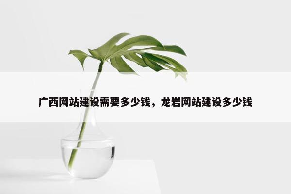 广西网站建设需要多少钱，龙岩网站建设多少钱