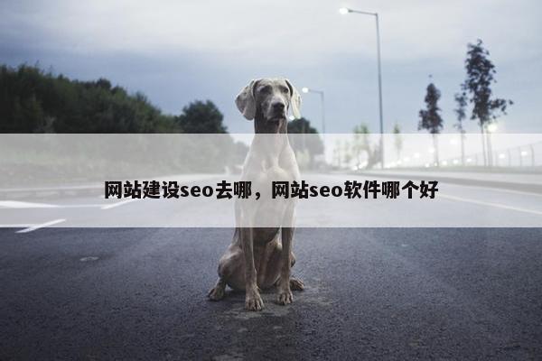 网站建设seo去哪，网站seo软件哪个好