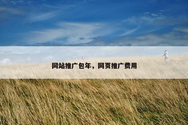网站推广包年，网页推广费用