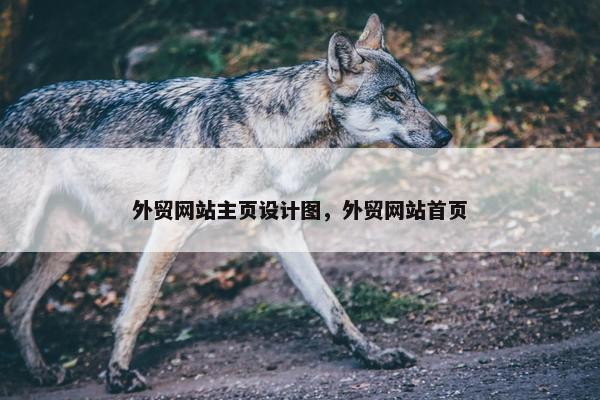 外贸网站主页设计图，外贸网站首页