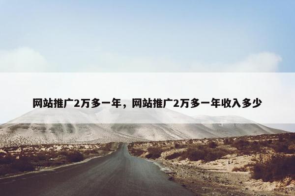 网站推广2万多一年，网站推广2万多一年收入多少