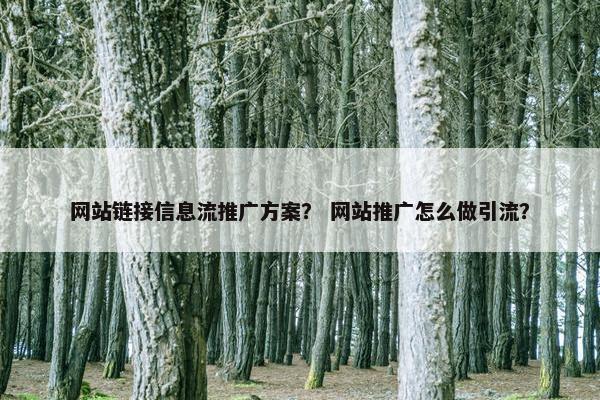 网站链接信息流推广方案？ 网站推广怎么做引流？