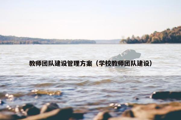 教师团队建设管理方案（学校教师团队建设）