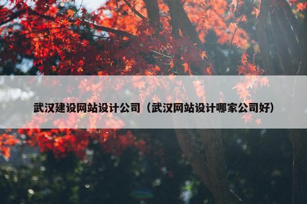 武汉建设网站设计公司（武汉网站设计哪家公司好）