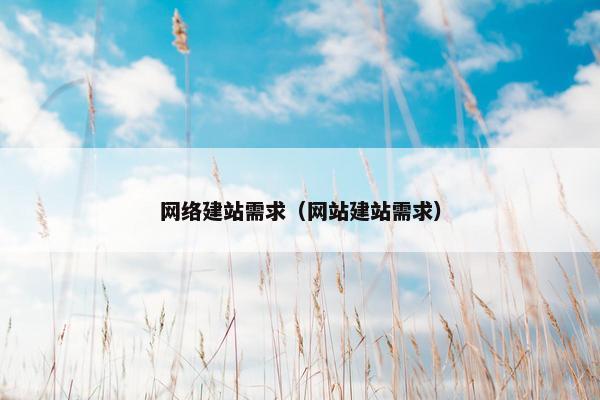 网络建站需求（网站建站需求）
