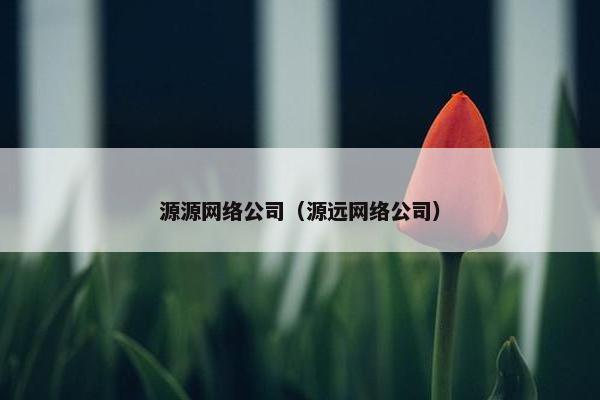 源源网络公司（源远网络公司）
