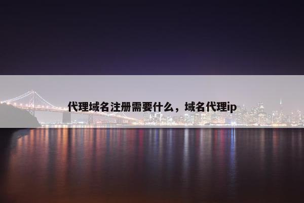 代理域名注册需要什么，域名代理ip