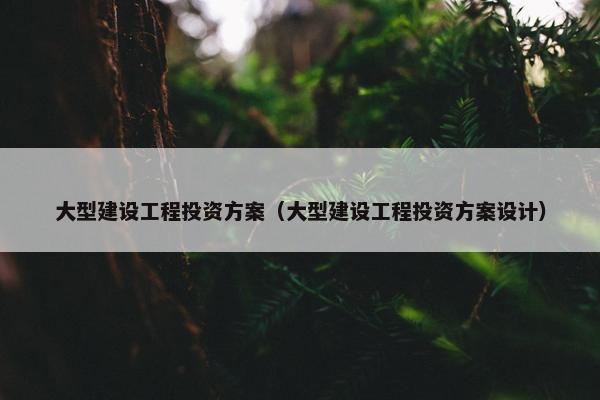 大型建设工程投资方案（大型建设工程投资方案设计）