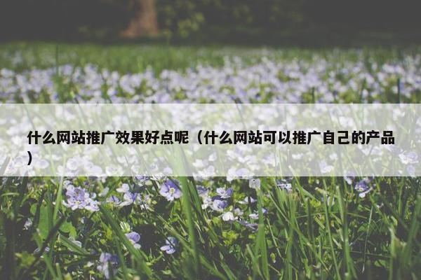 什么网站推广效果好点呢（什么网站可以推广自己的产品）