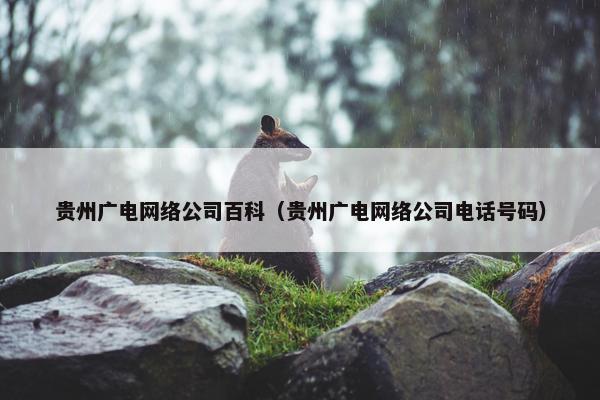 贵州广电网络公司百科（贵州广电网络公司电话号码）
