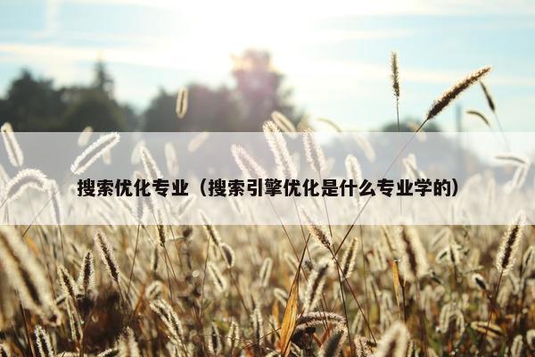 搜索优化专业（搜索引擎优化是什么专业学的）