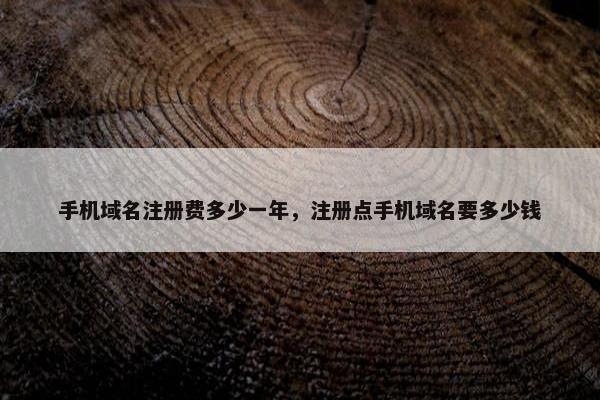 手机域名注册费多少一年，注册点手机域名要多少钱