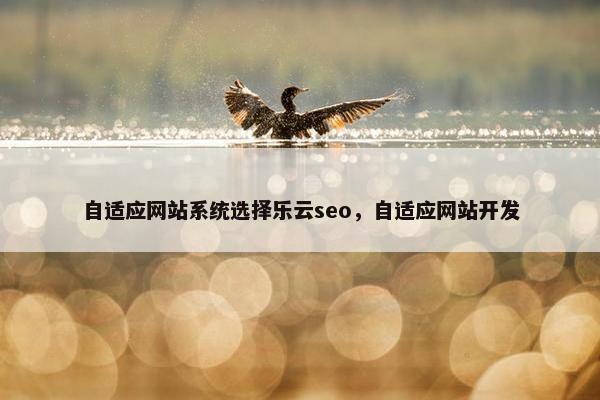 自适应网站系统选择乐云seo，自适应网站开发