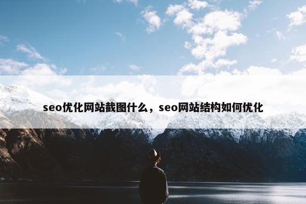 seo优化网站截图什么，seo网站结构如何优化