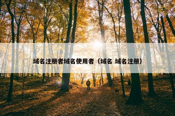 域名注册者域名使用者（域名 域名注册）