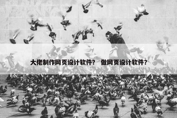 大佬制作网页设计软件？ 做网页设计软件？