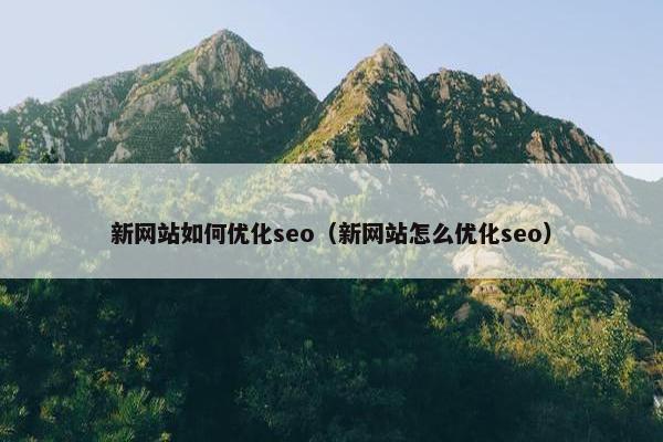 新网站如何优化seo（新网站怎么优化seo）