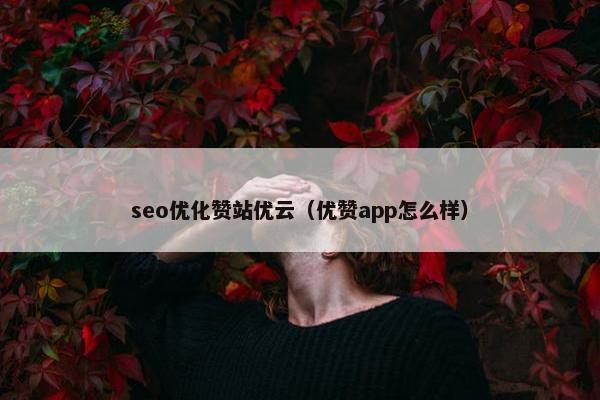 seo优化赞站优云（优赞app怎么样）