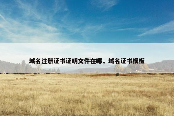 域名注册证书证明文件在哪，域名证书模板