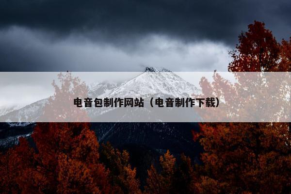 电音包制作网站（电音制作下载）