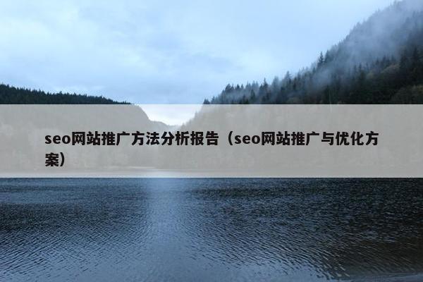 seo网站推广方法分析报告（seo网站推广与优化方案）