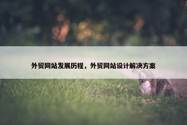 外贸网站发展历程，外贸网站设计解决方案