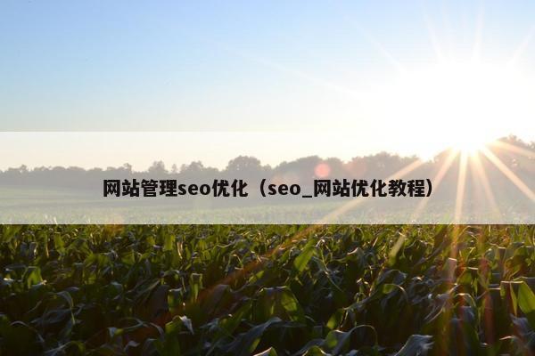 网站管理seo优化（seo_网站优化教程）