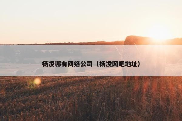 杨凌哪有网络公司（杨凌网吧地址）