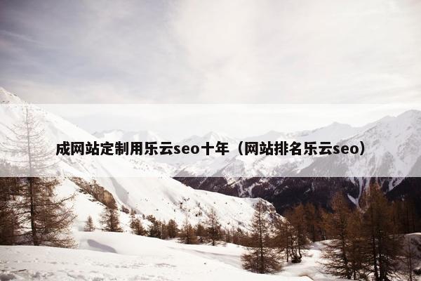 成网站定制用乐云seo十年（网站排名乐云seo）