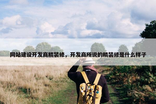 网站建设开发商精装修，开发商所说的精装修是什么样子