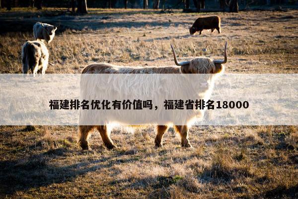 福建排名优化有价值吗，福建省排名18000