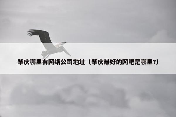 肇庆哪里有网络公司地址（肇庆最好的网吧是哪里?）