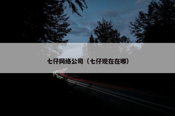 七仔网络公司（七仔现在在哪）