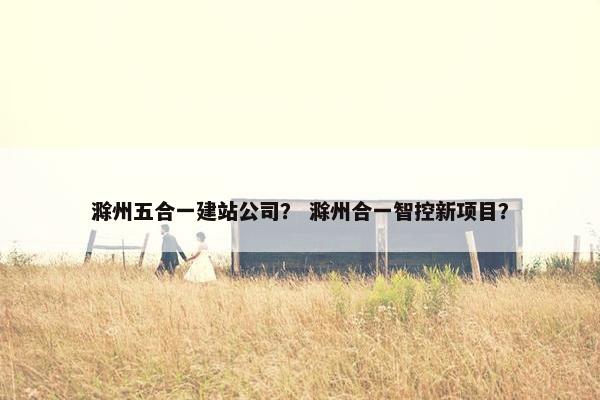 滁州五合一建站公司？ 滁州合一智控新项目？