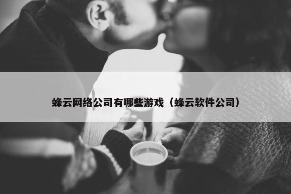 蜂云网络公司有哪些游戏（蜂云软件公司）