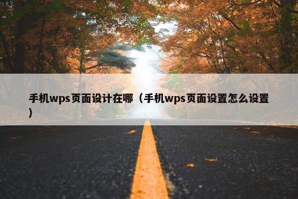 手机wps页面设计在哪（手机wps页面设置怎么设置）