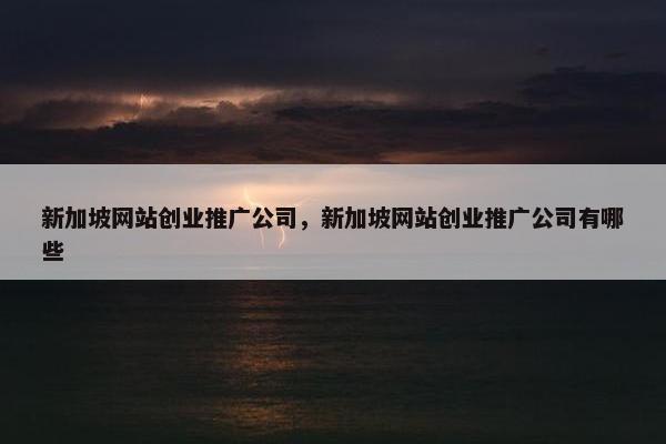 新加坡网站创业推广公司，新加坡网站创业推广公司有哪些