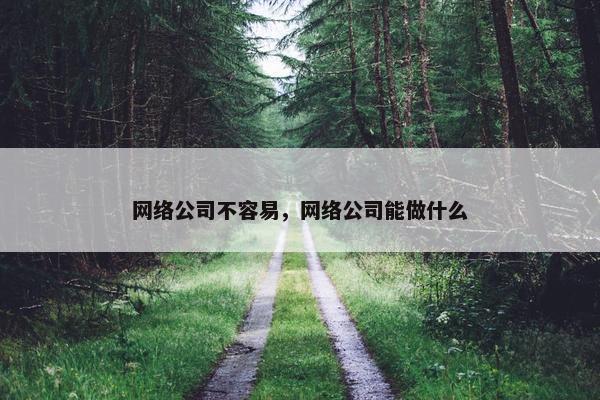 网络公司不容易，网络公司能做什么