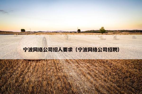 宁波网络公司招人要求（宁波网络公司招聘）