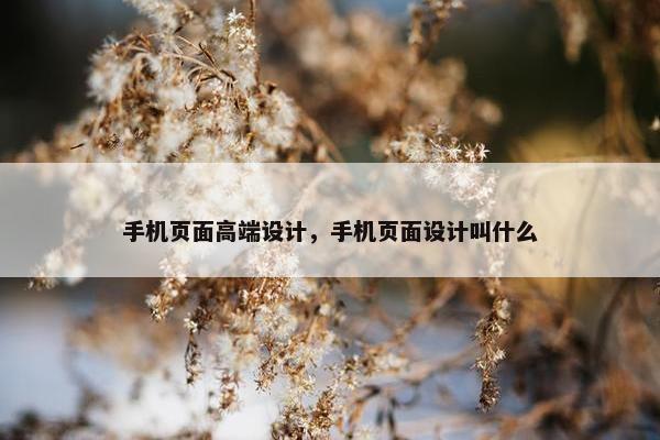 手机页面高端设计，手机页面设计叫什么