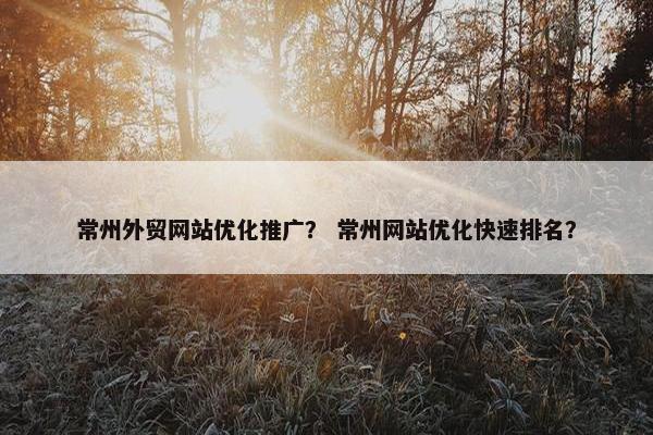 常州外贸网站优化推广？ 常州网站优化快速排名？