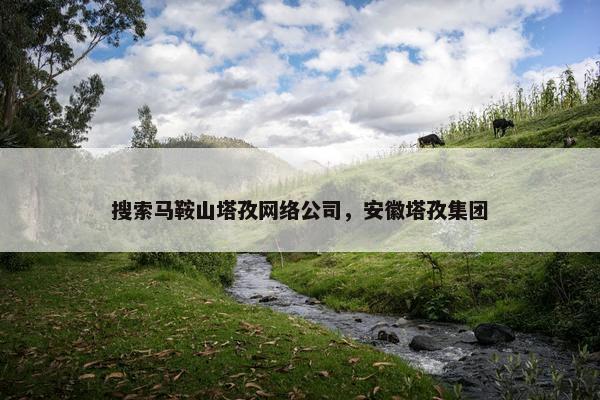 搜索马鞍山塔孜网络公司，安徽塔孜集团