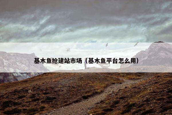 基木鱼抢建站市场（基木鱼平台怎么用）