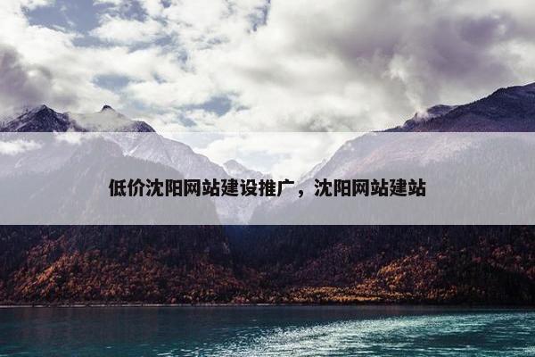 低价沈阳网站建设推广，沈阳网站建站